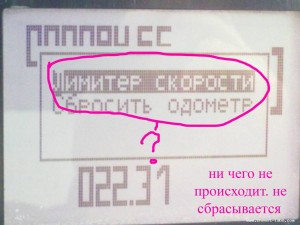 11092013473.jpg