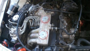 DSC_0332[1].jpg