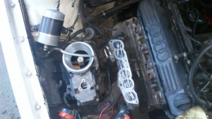 DSC_0337[1].jpg