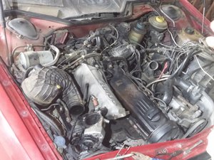 20150622_160550.jpg