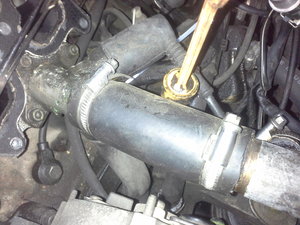 20150727_195027.jpg