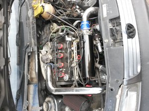 IMG-1460016496154-V.jpg
