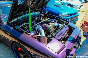 IMG_9873.jpg