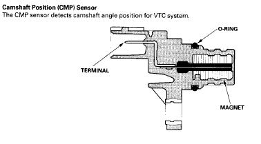 CMP.jpg