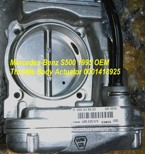 EA_0001418925_b.jpg