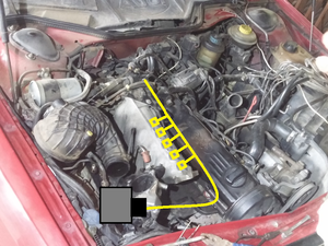 D403A711-5DD9-43DB-AC52-50BCCC4A7464.png